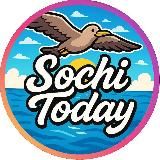 Sochi Today 🌀