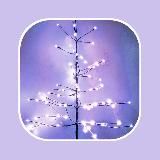 КВАНТОВАЯ ЛИРИКА