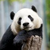 Здоровье ❤️ за гроши