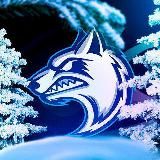 ЧИТЫ БЛЕК РАША | БЛЕК РАША ЧИТЫ