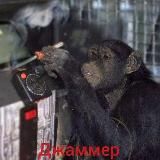 ДЖАММЕР (ОБЛУЧЕННЫЕ РЭБом)