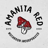Мухомор |Amanita RED / Лёнин Гриб
