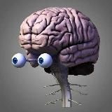 Факт и Точка