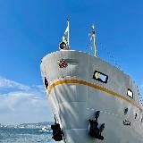 Языковой тур 📕