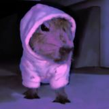 🪼Lux Team | Chat🪼