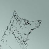 🪷• кёрл сарвак | таш | мункаш