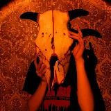 Лекса и мрачное чтиво