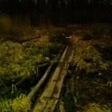 Липкое чёрное болото.