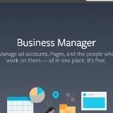 Business Manager