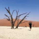 Coral Travel Elite | Сергей Нисневич