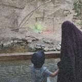 i n s p i r a t i o n