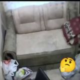 Социальный Диван Шариковых Крыс