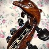 Viola da gamba🎶 🌏