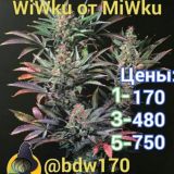 Wiwku от Miwku 24/7