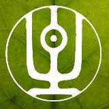 • ЧАЙНАЯ ШАМАНИКА •