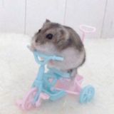 🦋𝑇𝑣𝑜𝑦𝑎 𝑔𝑎𝑙𝑒𝑟𝑒𝑦𝑎🍯