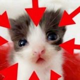 психбольница