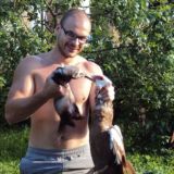 Белые Лебеди