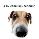 ахуевшая беседа