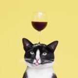 Мемы подружки