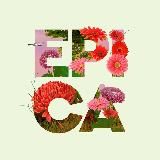 EPICA ведёт