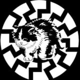 Разгрузка Вассермана