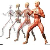 ❗ЛФК ФИТНЕС ДИЕТОЛОГИЯ РЕАБИЛИТАЦИЯ МАНУАЛЬНАЯ