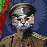 Русские коты | Z