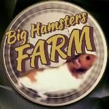 🐹BIG HAMSTERS FARM🐹
