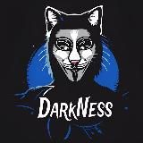 DarkNESS | КиберБезопасность