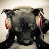 Клипы__2020 Chat