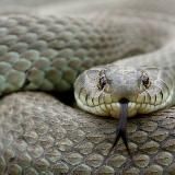 ДУРОВ ПОЙМИ ЭТО ЗАПРЕТКА