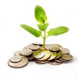 300 000 руб в телеге