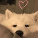 𝔂𝓸𝓾𝓻 𝓼𝓸𝓾𝓵🦋