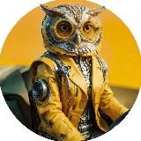 Сова на ТрансМиссии