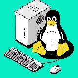 Сетевой инженер