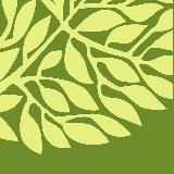 Elasto Beauty | клиника косметологии