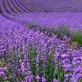 Красивые места Юга России