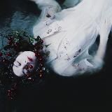 Откровения модели