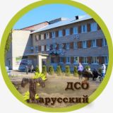 Тарусский ДСО