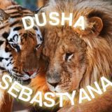 🔥𝗗𝗨𝗦𝗛𝗔_𝗦𝗘𝗕𝗔𝗦𝗧𝗬𝗔𝗡𝗔🔥