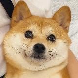 二狗福利站🍿️水果派av解说