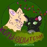 🐱коты воители🐱 Warrior cats🐱