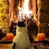 Уютный дом 🕯 Эстетика жизни ✨