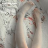 ЖЕСТЬ СЛИВЫ