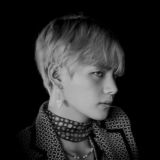 chanson deux pigeons.