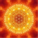 Spiritualität und Wissenschaft