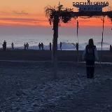 Директор Адлера