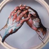 𝓤𝓭𝓪𝓪𝓼𝓮𝓮