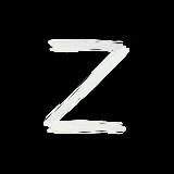 Спецоперация РФ ZOV